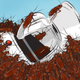 Image for article titled How To Clean A Roach-Infested Coffee Maker